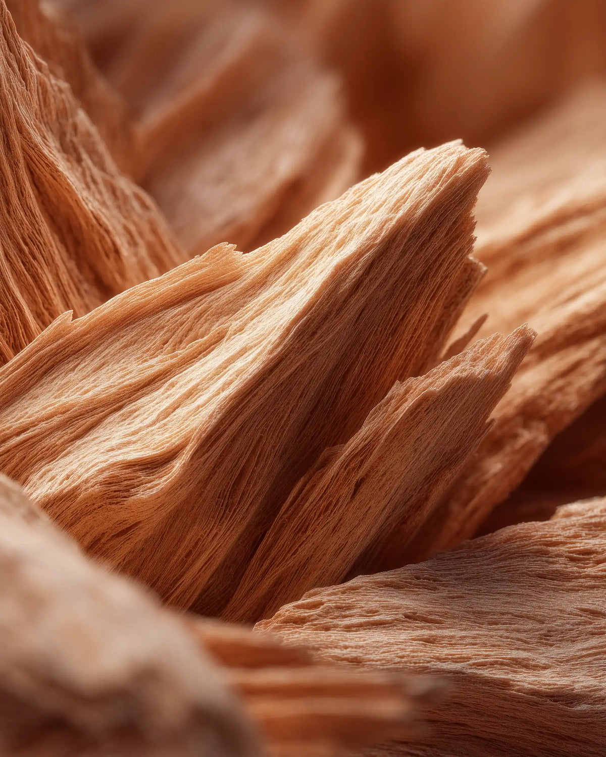 CASHMERE WOOD