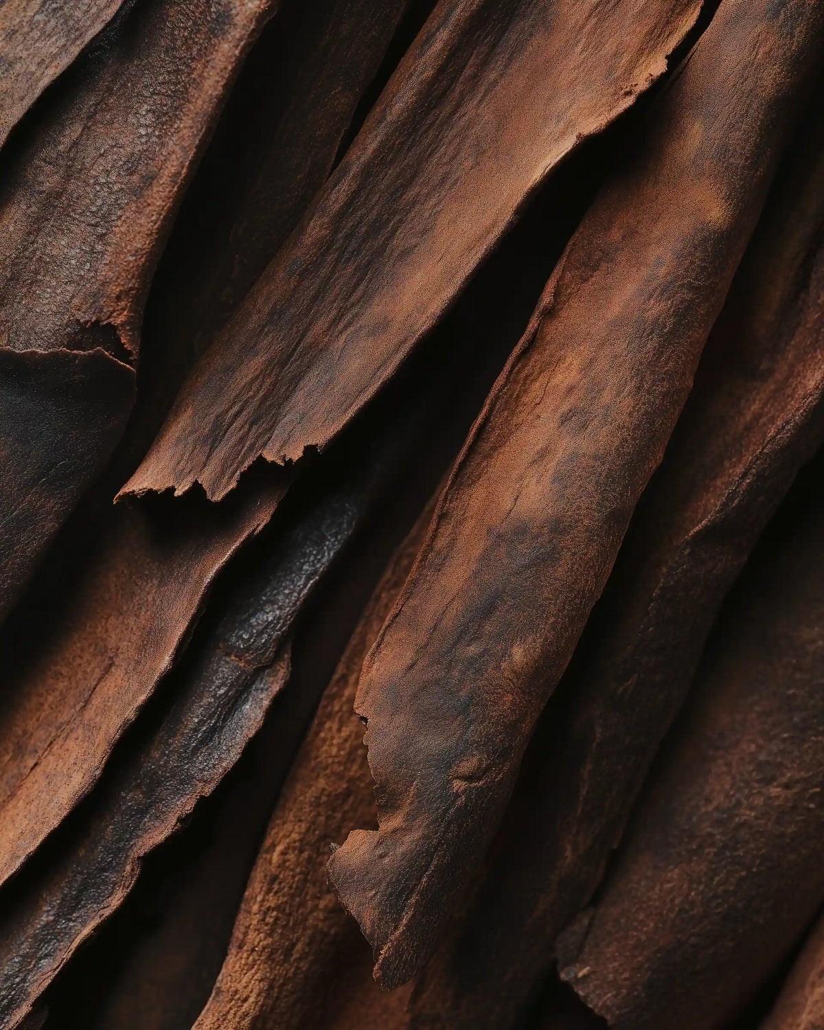 CINNAMON