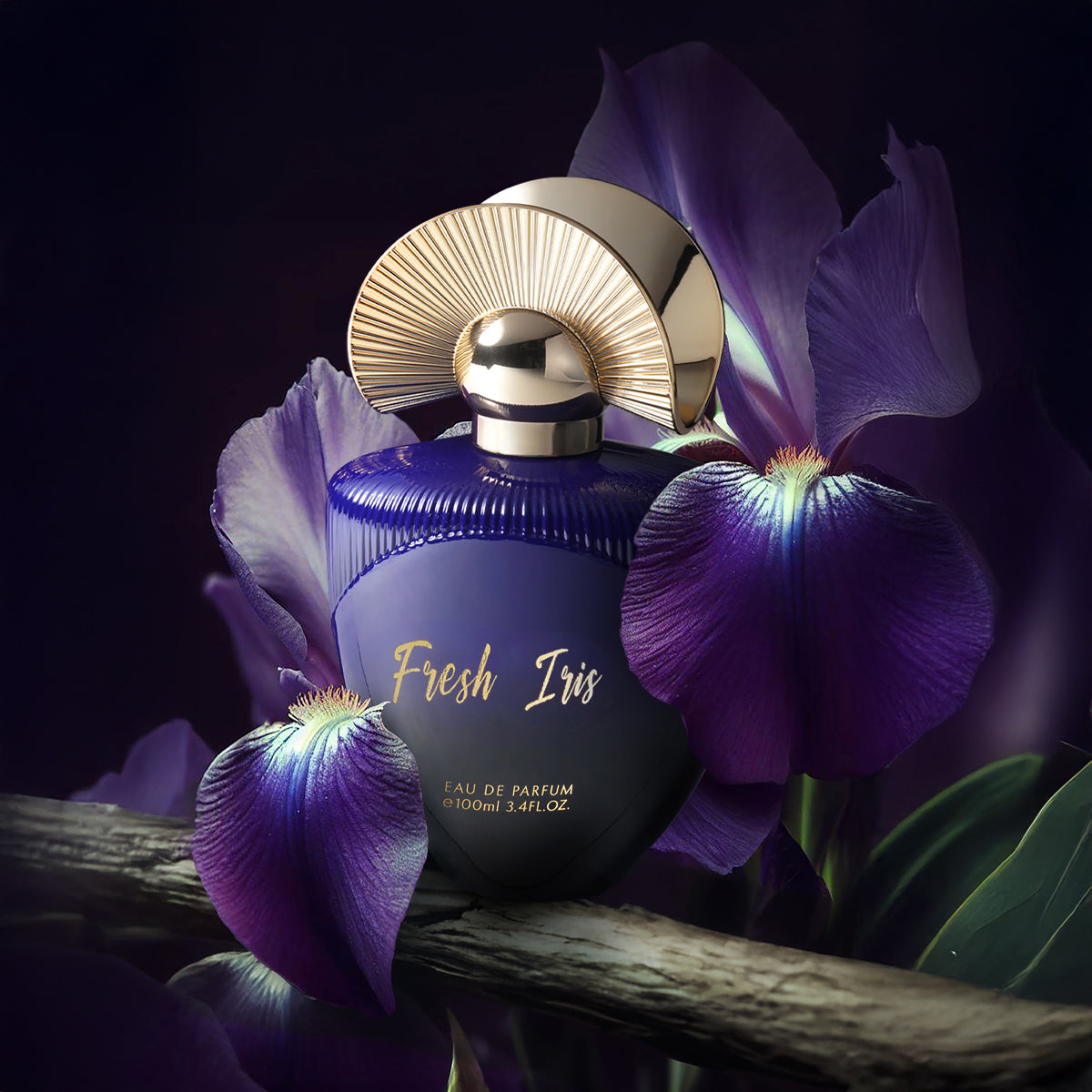 FRESH IRIS