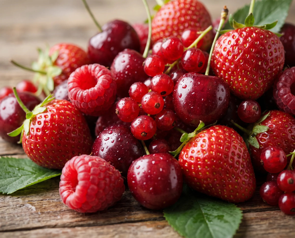 REDFRUITS